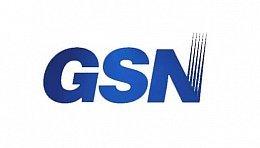 GSN Electronic